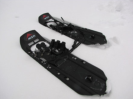 snowshoe1.jpg