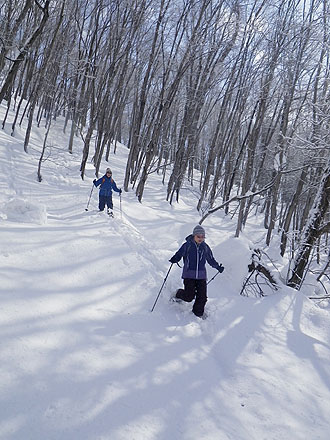 snowshoe5.jpg